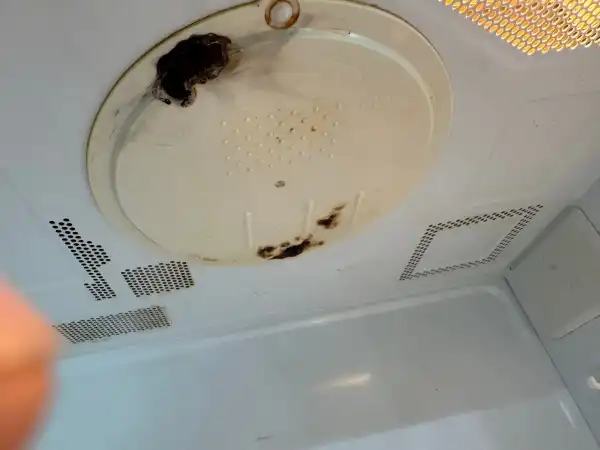 Repair of microwave ovens